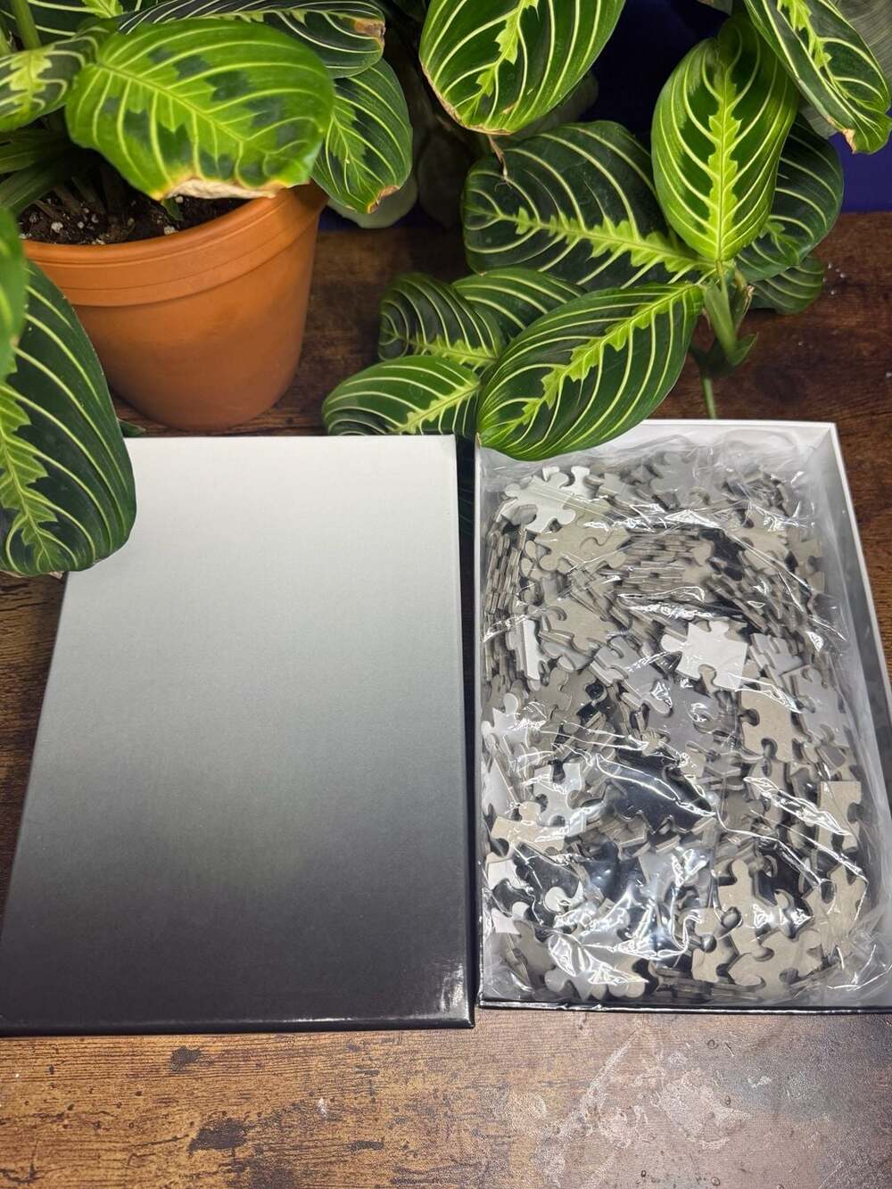Areaware Gradient Puzzle Black/White 500 Piece Designed by Bryce Wilner